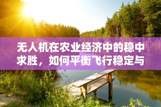 无人机在农业经济中的稳中求胜，如何平衡飞行稳定与经济效益？