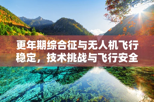 更年期综合征与无人机飞行稳定，技术挑战与飞行安全新视角
