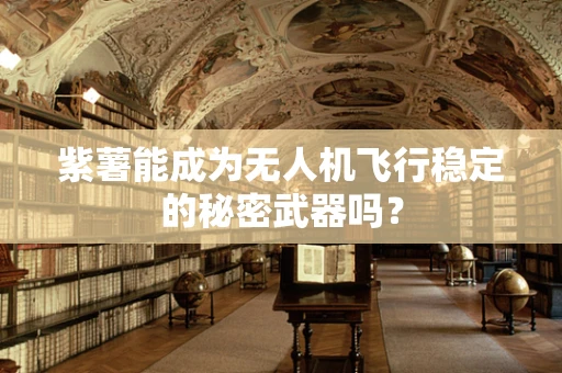 紫薯能成为无人机飞行稳定的秘密武器吗？