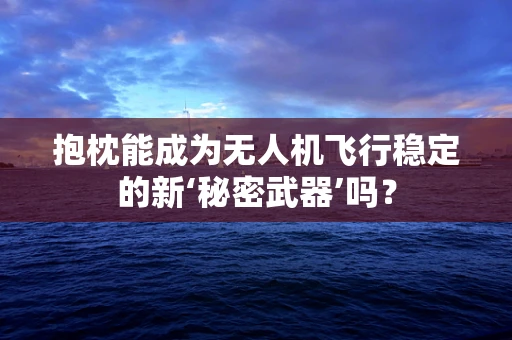 抱枕能成为无人机飞行稳定的新‘秘密武器’吗？