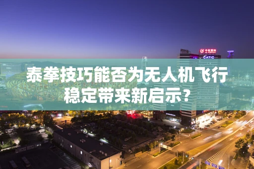 泰拳技巧能否为无人机飞行稳定带来新启示？