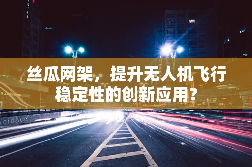 丝瓜网架，提升无人机飞行稳定性的创新应用？