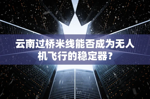 云南过桥米线能否成为无人机飞行的稳定器？