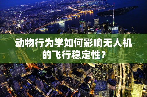 动物行为学如何影响无人机的飞行稳定性？