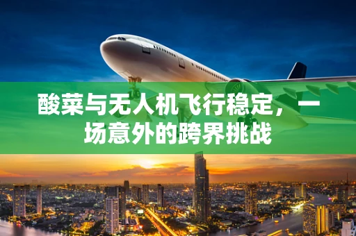 酸菜与无人机飞行稳定，一场意外的跨界挑战