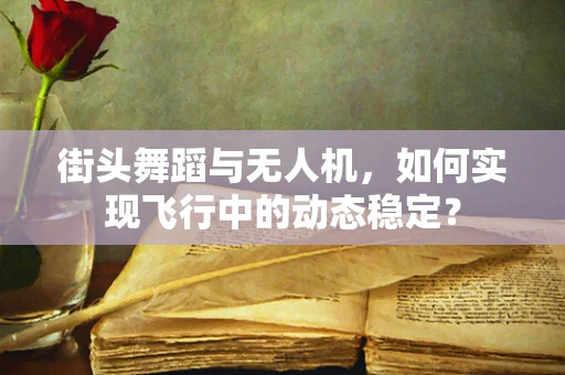 街头舞蹈与无人机，如何实现飞行中的动态稳定？