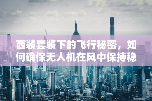西装套装下的飞行秘密，如何确保无人机在风中保持稳定？