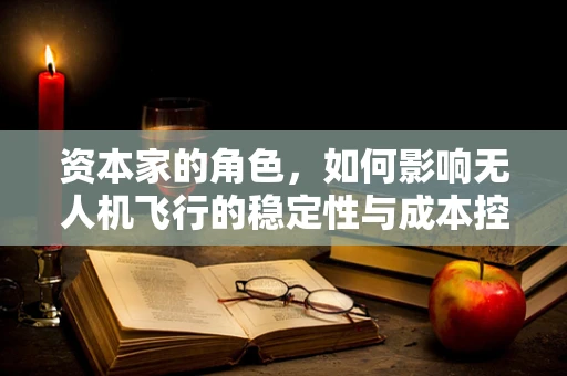 资本家的角色，如何影响无人机飞行的稳定性与成本控制？