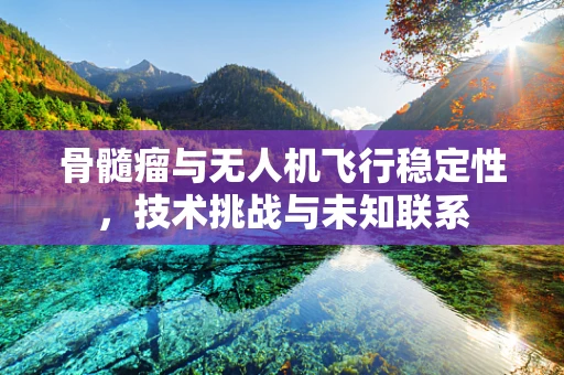 骨髓瘤与无人机飞行稳定性，技术挑战与未知联系