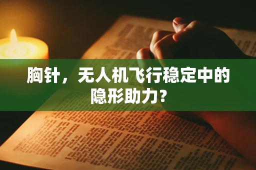胸针，无人机飞行稳定中的隐形助力？