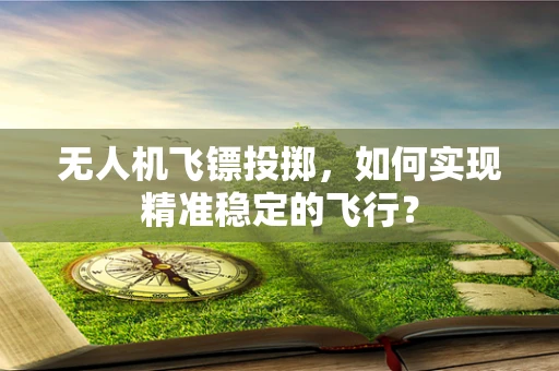 无人机飞镖投掷，如何实现精准稳定的飞行？