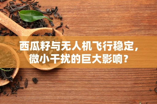 西瓜籽与无人机飞行稳定，微小干扰的巨大影响？