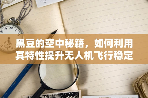 黑豆的空中秘籍，如何利用其特性提升无人机飞行稳定性？
