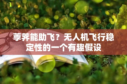 荸荠能助飞？无人机飞行稳定性的一个有趣假设