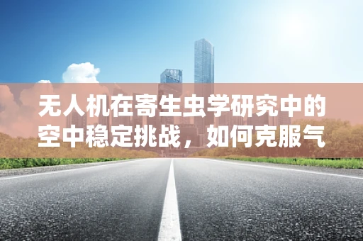 无人机在寄生虫学研究中的空中稳定挑战，如何克服气流扰动影响？