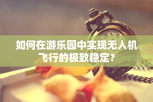 如何在游乐园中实现无人机飞行的极致稳定？