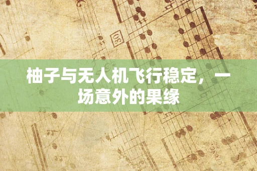 柚子与无人机飞行稳定，一场意外的果缘