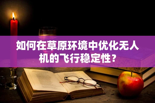 如何在草原环境中优化无人机的飞行稳定性？