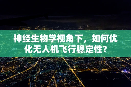 神经生物学视角下，如何优化无人机飞行稳定性？