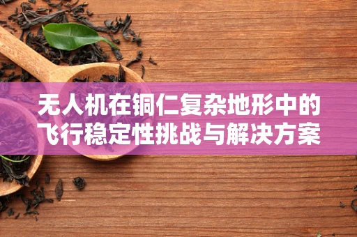 无人机在铜仁复杂地形中的飞行稳定性挑战与解决方案