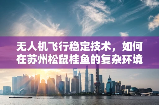 无人机飞行稳定技术，如何在苏州松鼠桂鱼的复杂环境中实现精准定位？