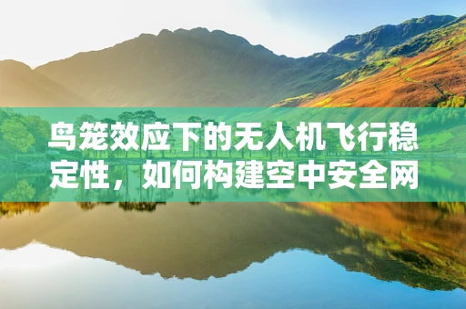 鸟笼效应下的无人机飞行稳定性，如何构建空中安全网？