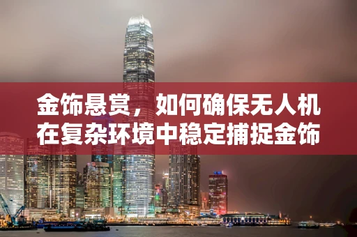 金饰悬赏，如何确保无人机在复杂环境中稳定捕捉金饰细节？