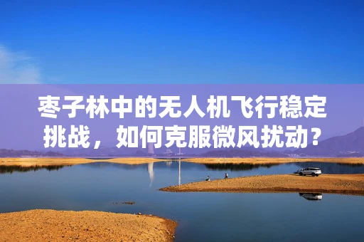 枣子林中的无人机飞行稳定挑战，如何克服微风扰动？