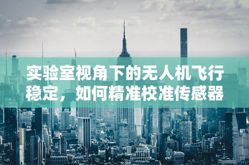 实验室视角下的无人机飞行稳定，如何精准校准传感器以提升飞行性能？