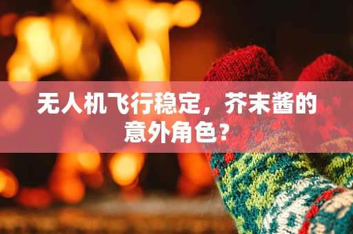 无人机飞行稳定，芥末酱的意外角色？