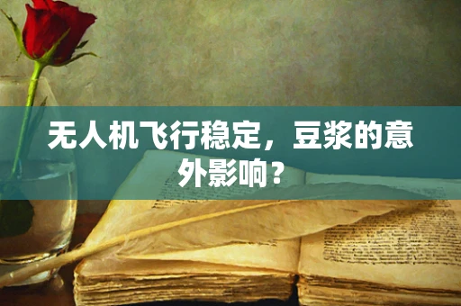 无人机飞行稳定，豆浆的意外影响？