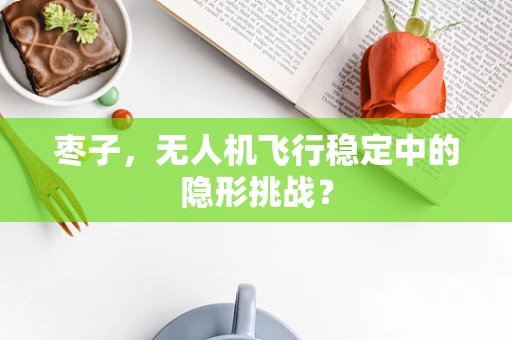 枣子，无人机飞行稳定中的隐形挑战？