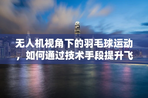 无人机视角下的羽毛球运动，如何通过技术手段提升飞行稳定性？