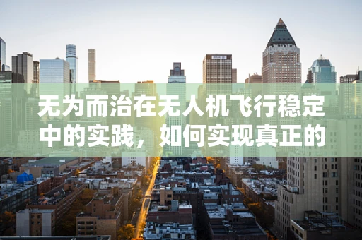 无为而治在无人机飞行稳定中的实践，如何实现真正的‘不作为’？