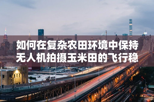 如何在复杂农田环境中保持无人机拍摄玉米田的飞行稳定？