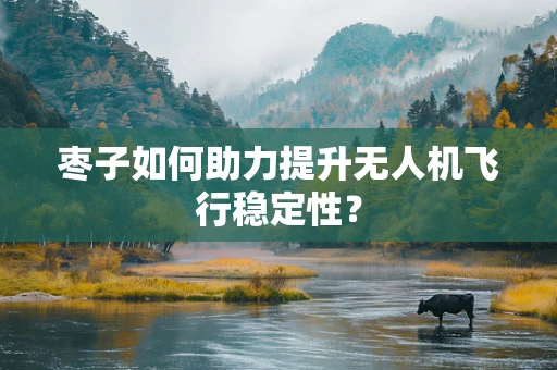 枣子如何助力提升无人机飞行稳定性？