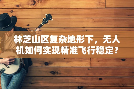 林芝山区复杂地形下，无人机如何实现精准飞行稳定？