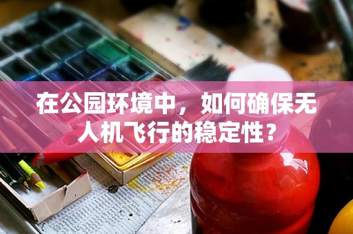 在公园环境中，如何确保无人机飞行的稳定性？