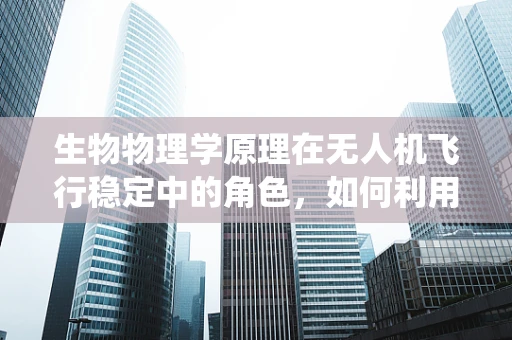 生物物理学原理在无人机飞行稳定中的角色，如何利用生物系统稳定性提升无人机性能？