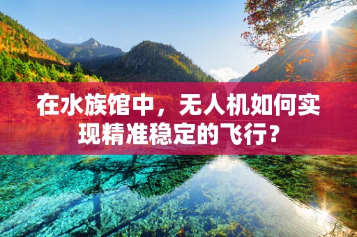 在水族馆中，无人机如何实现精准稳定的飞行？