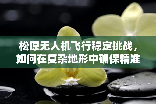 松原无人机飞行稳定挑战，如何在复杂地形中确保精准操控？