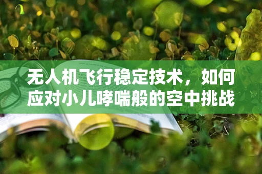无人机飞行稳定技术，如何应对小儿哮喘般的空中挑战？