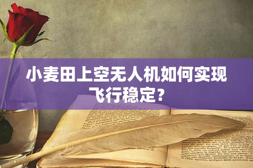 小麦田上空无人机如何实现飞行稳定？