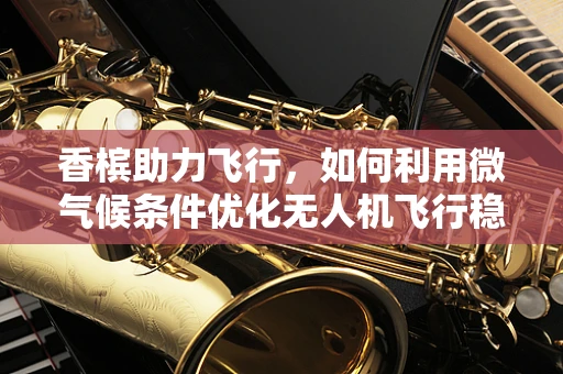 香槟助力飞行，如何利用微气候条件优化无人机飞行稳定性？