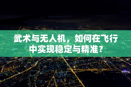 武术与无人机，如何在飞行中实现稳定与精准？