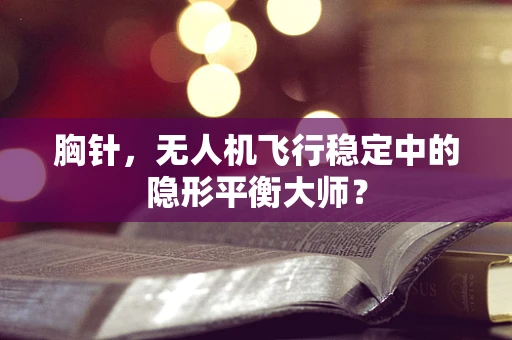 胸针，无人机飞行稳定中的隐形平衡大师？