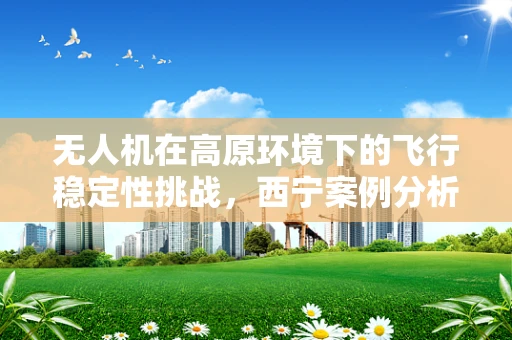无人机在高原环境下的飞行稳定性挑战，西宁案例分析