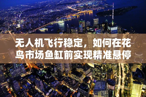 无人机飞行稳定，如何在花鸟市场鱼缸前实现精准悬停？