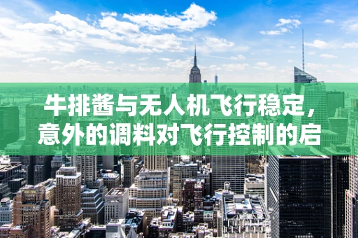 牛排酱与无人机飞行稳定，意外的调料对飞行控制的启示？