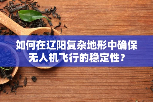 如何在辽阳复杂地形中确保无人机飞行的稳定性？